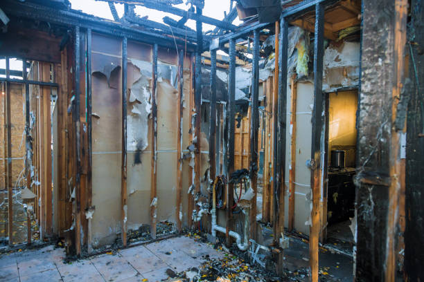 Professional Fire Damage Removal technician working in Alexandria, MN