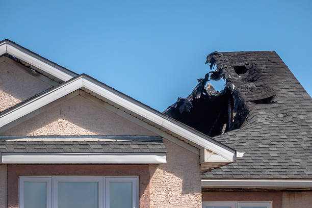 Top rated local Fire Damage Removal specialists in Alexandria, MN